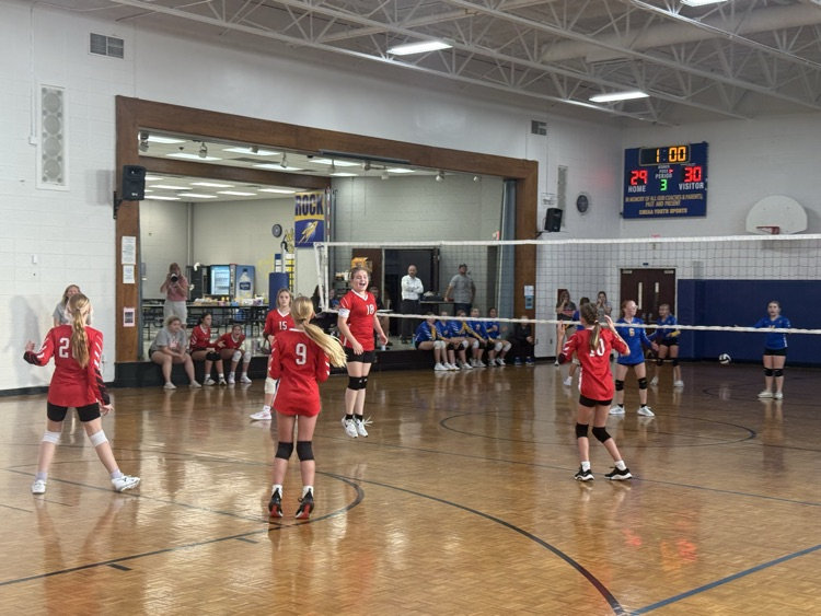 volleyball 