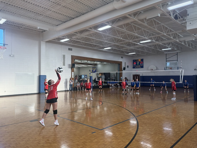 volleyball 