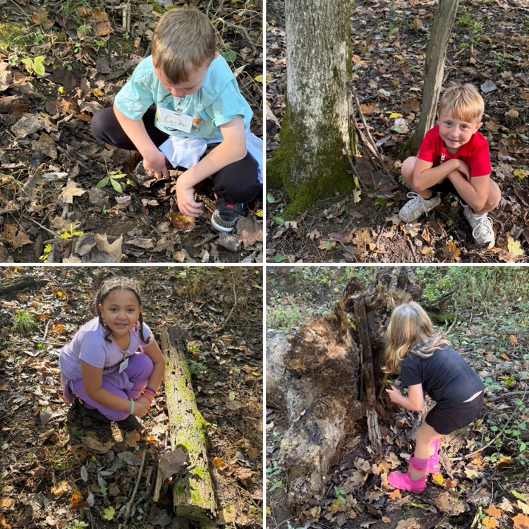 Making shelters for our ‘fake’ animals!