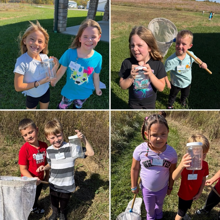 Using sweeping nets to catch bugs.