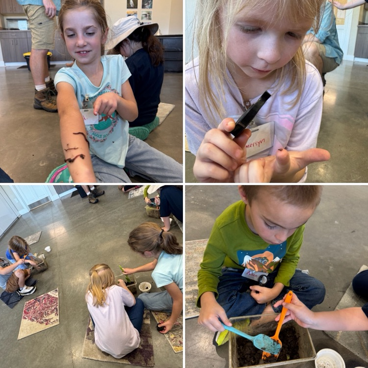 Exploring worms.