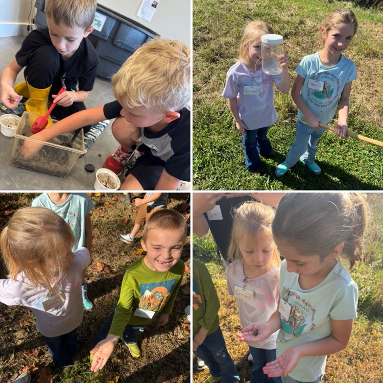 Snails and slugs! 