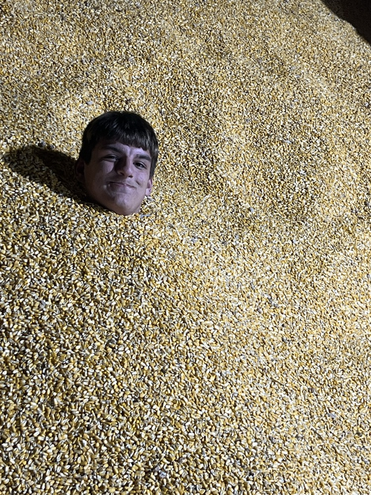 .