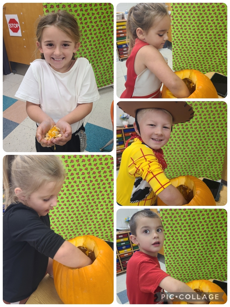 pumpkin seed counting 