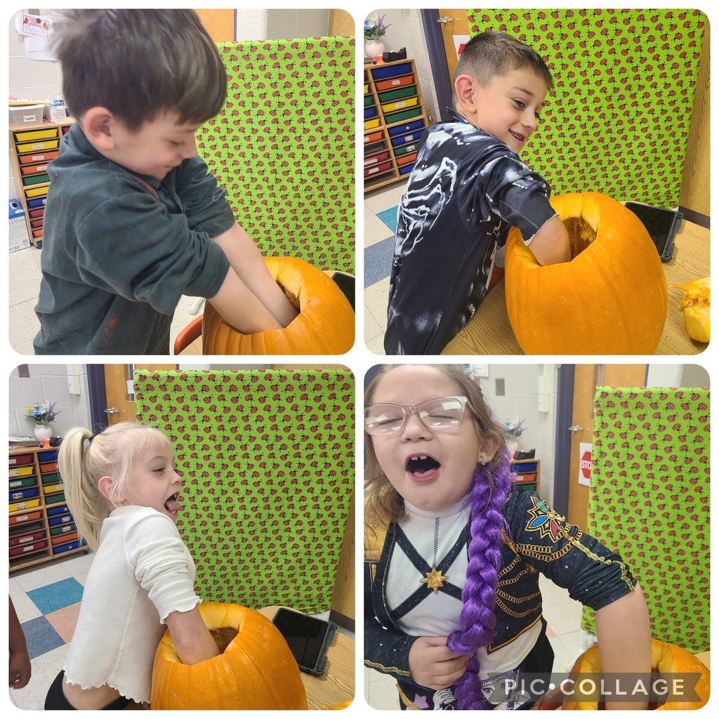 pumpkin seed counting