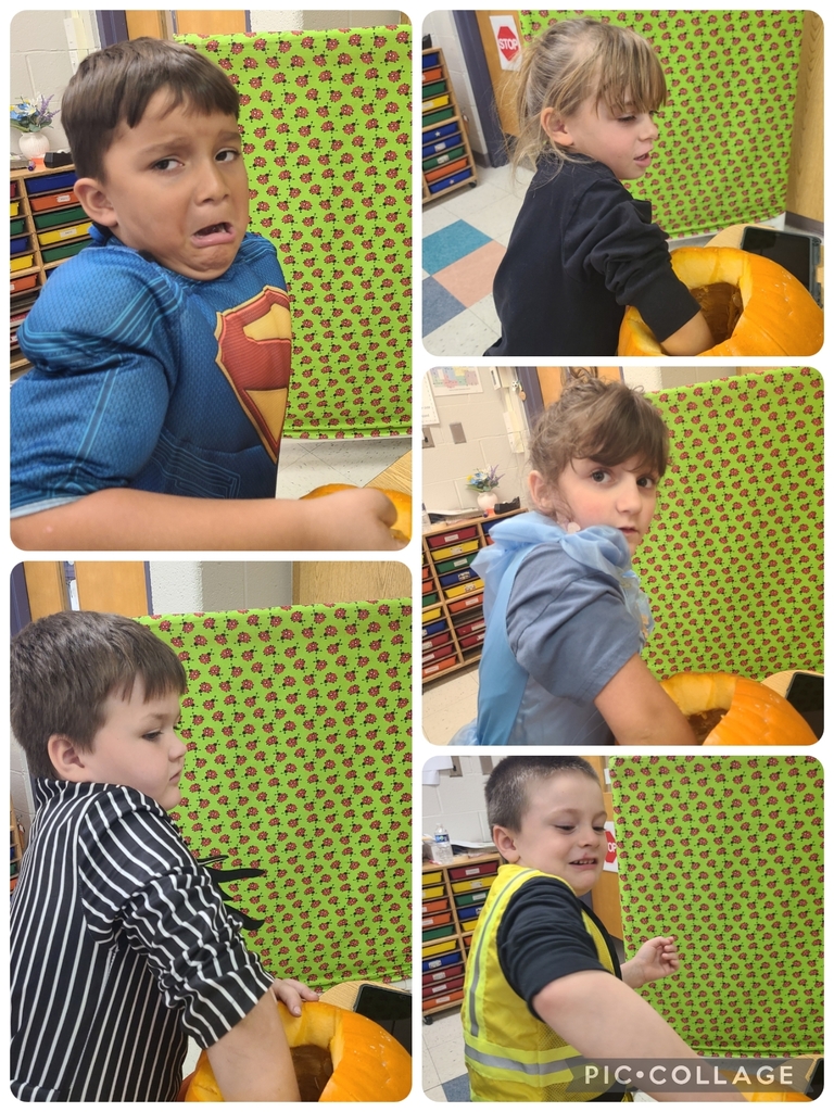 pumpkin seed counting