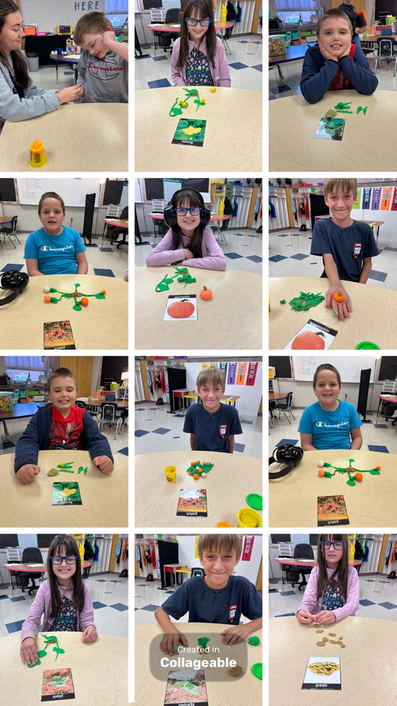 learning all about the life cycle of a pumpkin