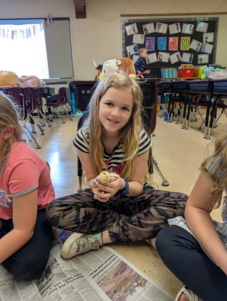a student holds a baby chick