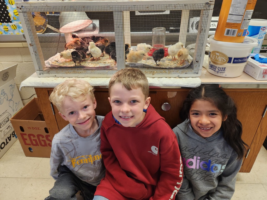 students smile as they sit in front of chick cage