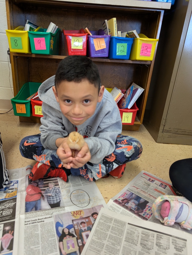 a student holds a baby chick
