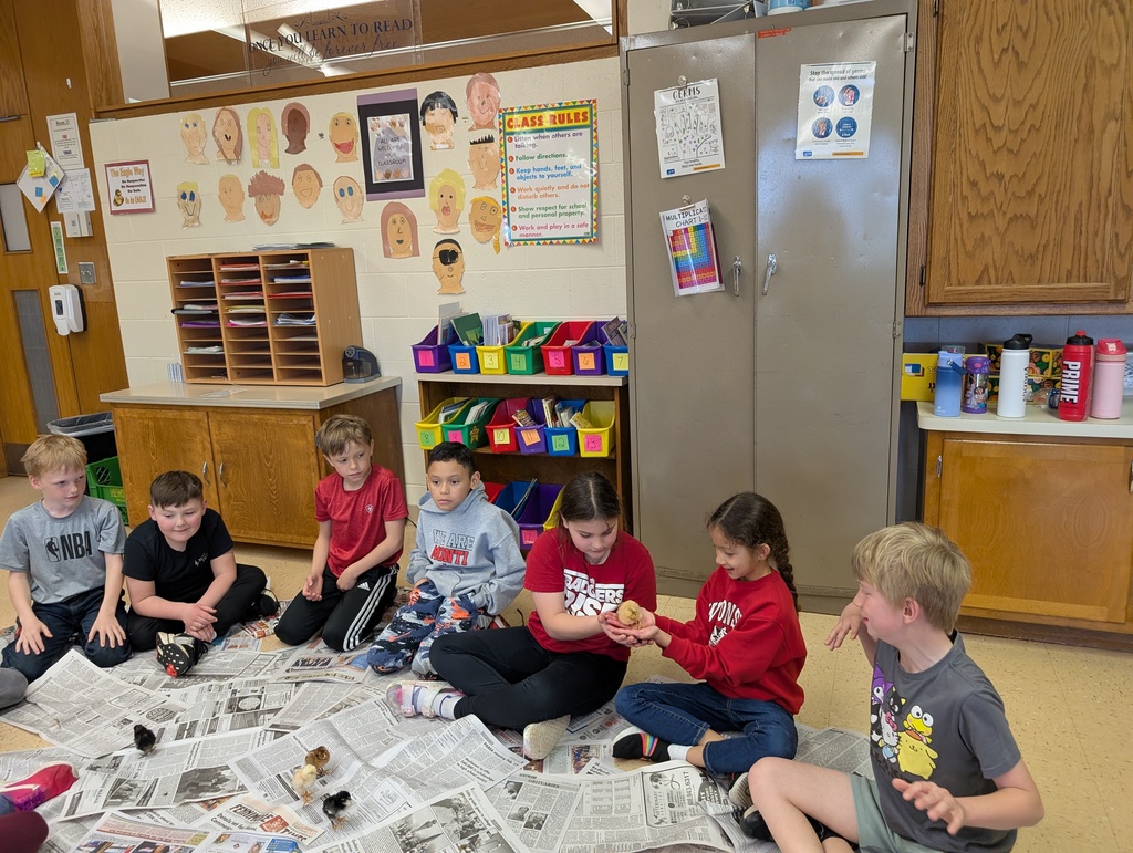 students sit in a circle and take turns holding the baby chicks