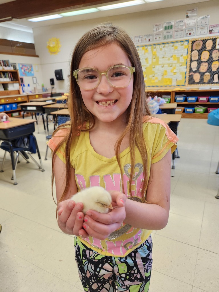 a student holds a baby chick