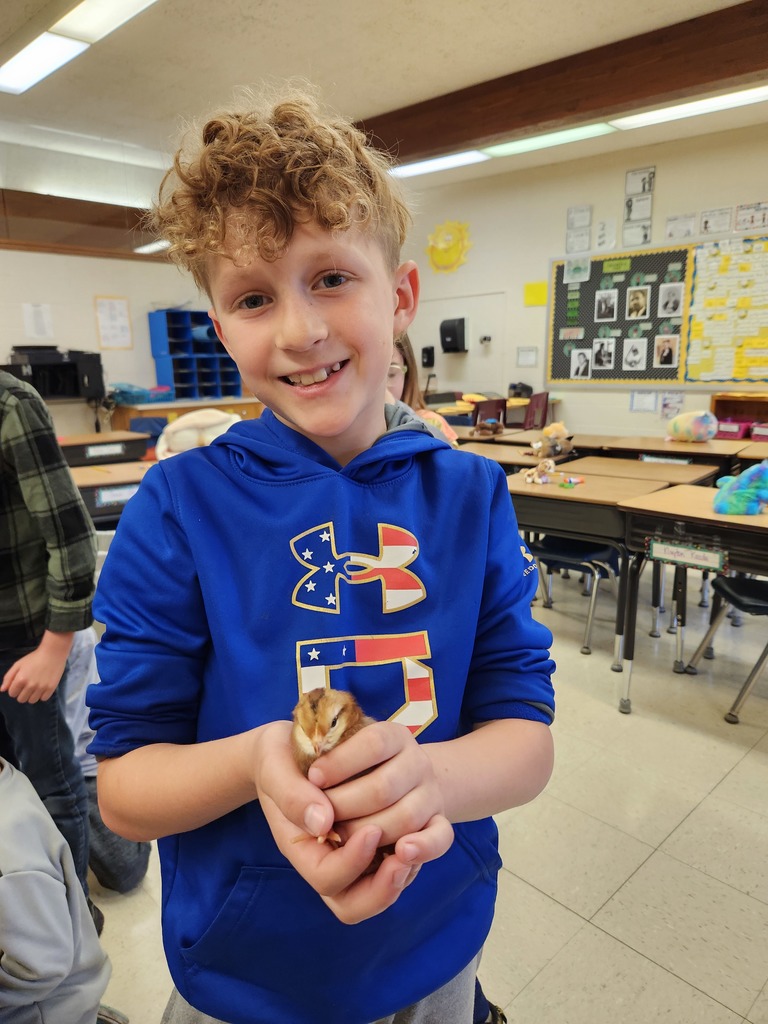  a student holds a baby chick
