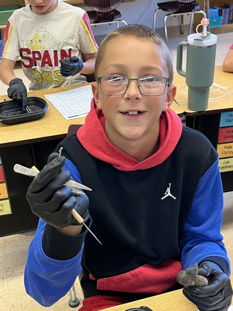 a student shows off a bone he found while dissecting an owl pellet at his desk over a container
