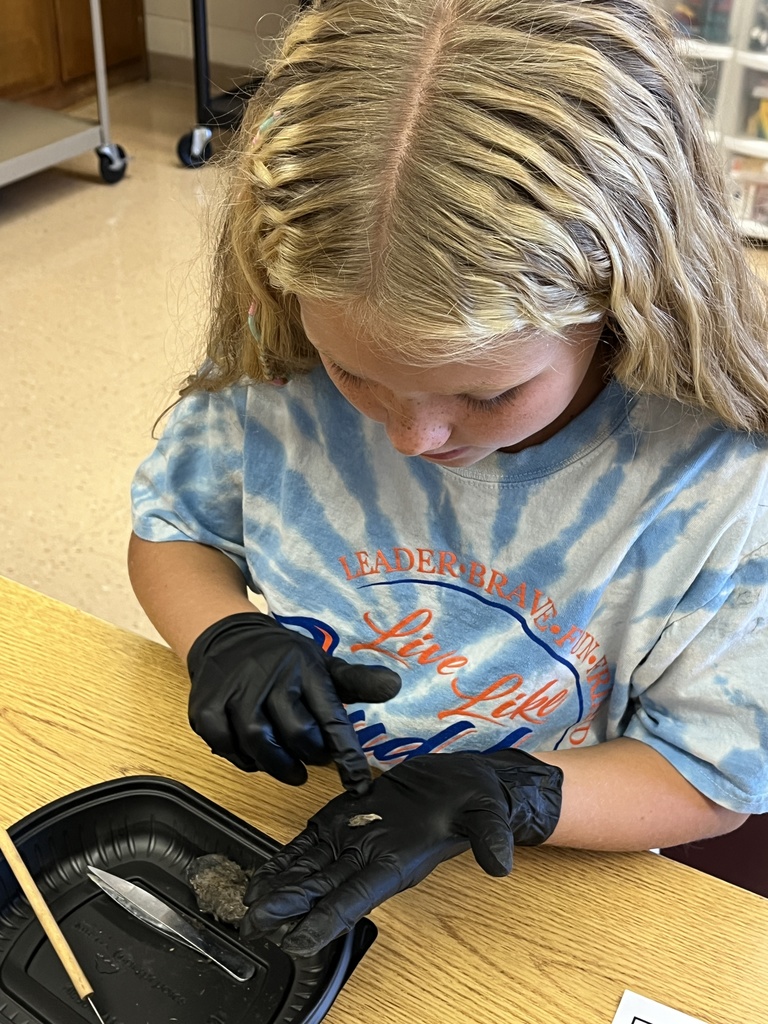 a student dissects an owl pellet at his desk over a container