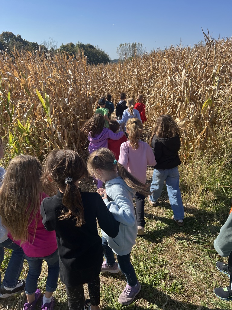 student excitedly enter the corn maze