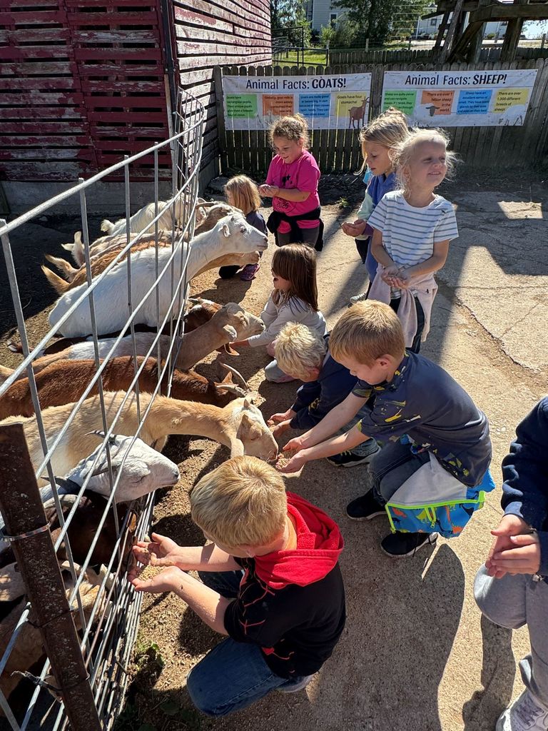 students feed the goats at Vesperman farms