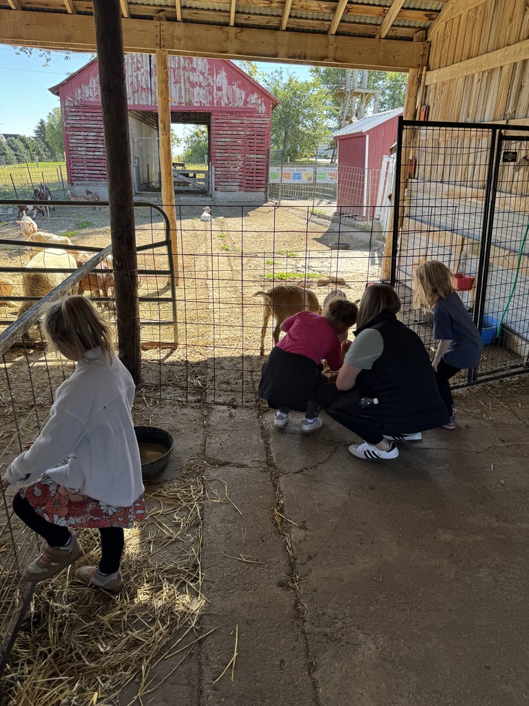 students feed the goats at Vesperman farms