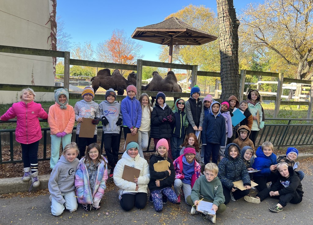 students at the camel exhibit at the zoo