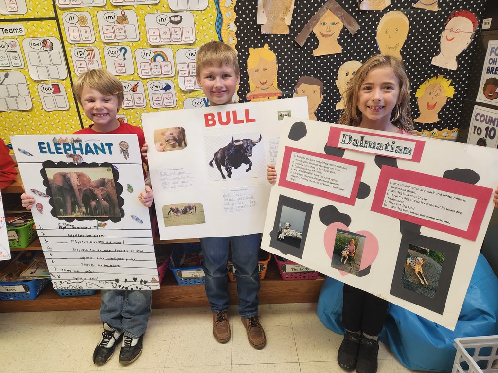 students show off their animal posters