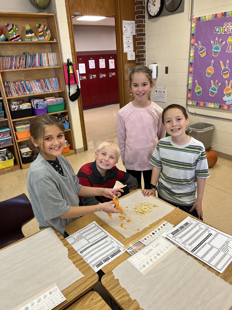 students count pumpkin seeds