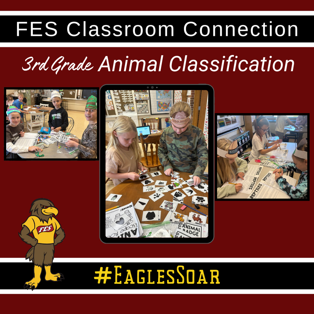 3rd grade animal classification unit with pictures of kids doing animal classification activities