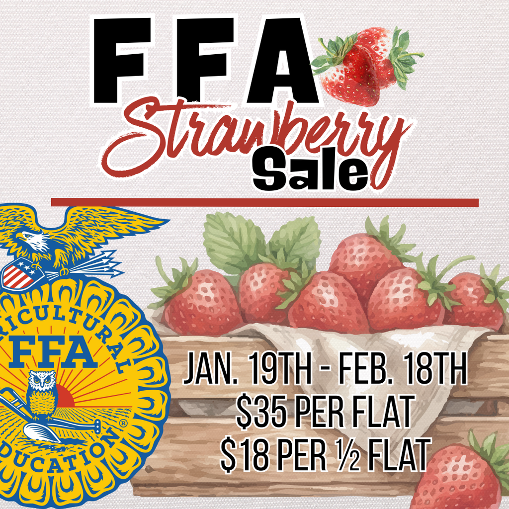 FFA Strawberry sales starts monday 