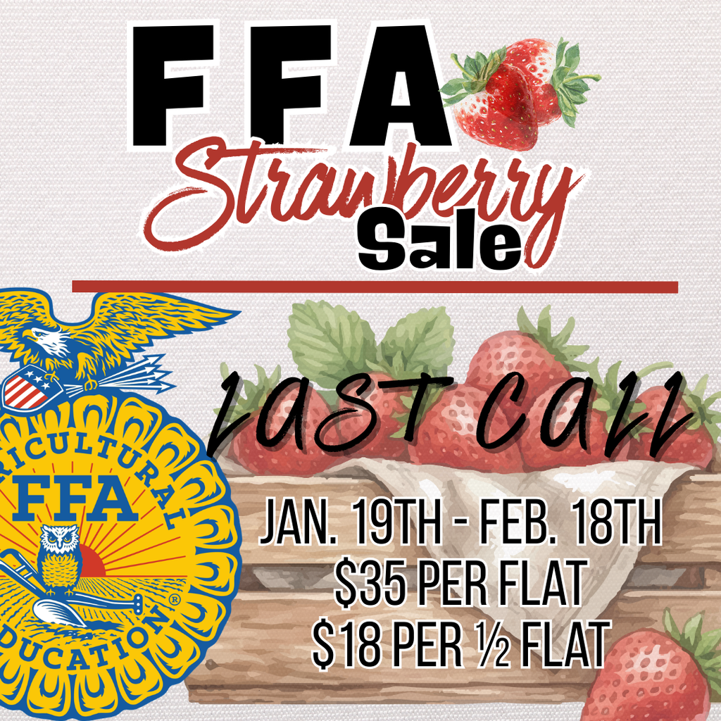 Reminder - all FFA Strawberry Orders are due Feb. 18th. 