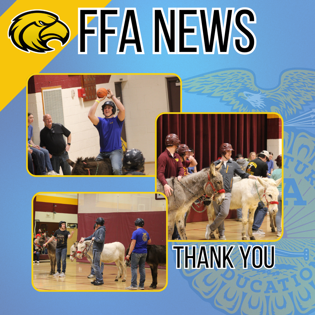FFA Donkey Basketball