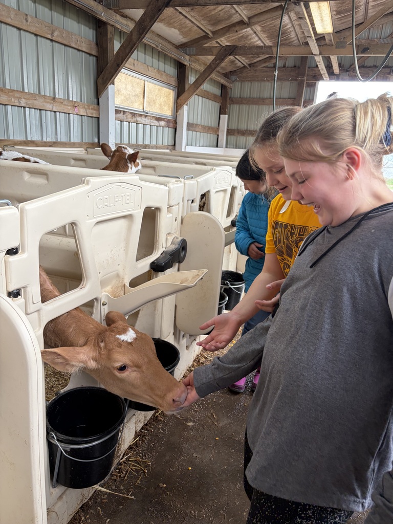 students pet a calf at a local farm on their field trip