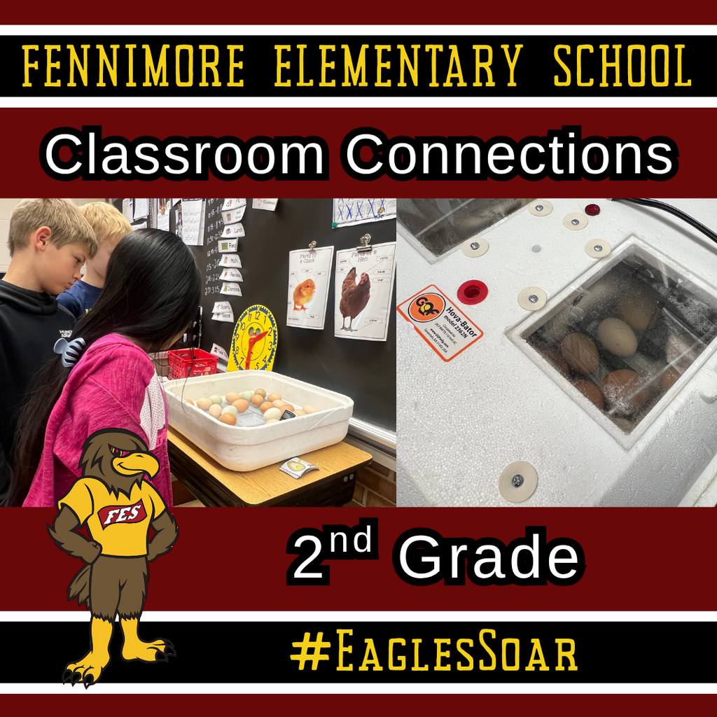 classroom connections - 2nd grade - chick incubator with kids watching 
