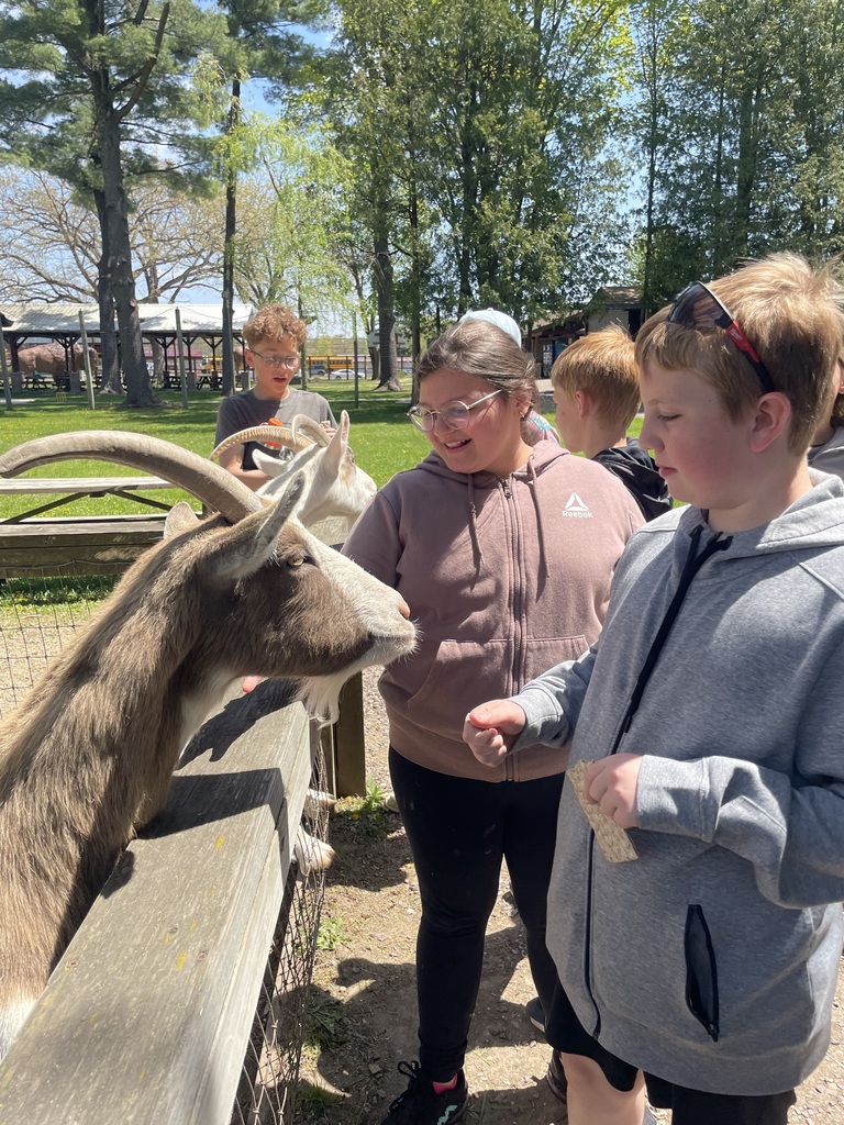 some members of safety patrol feeding deer at deer park