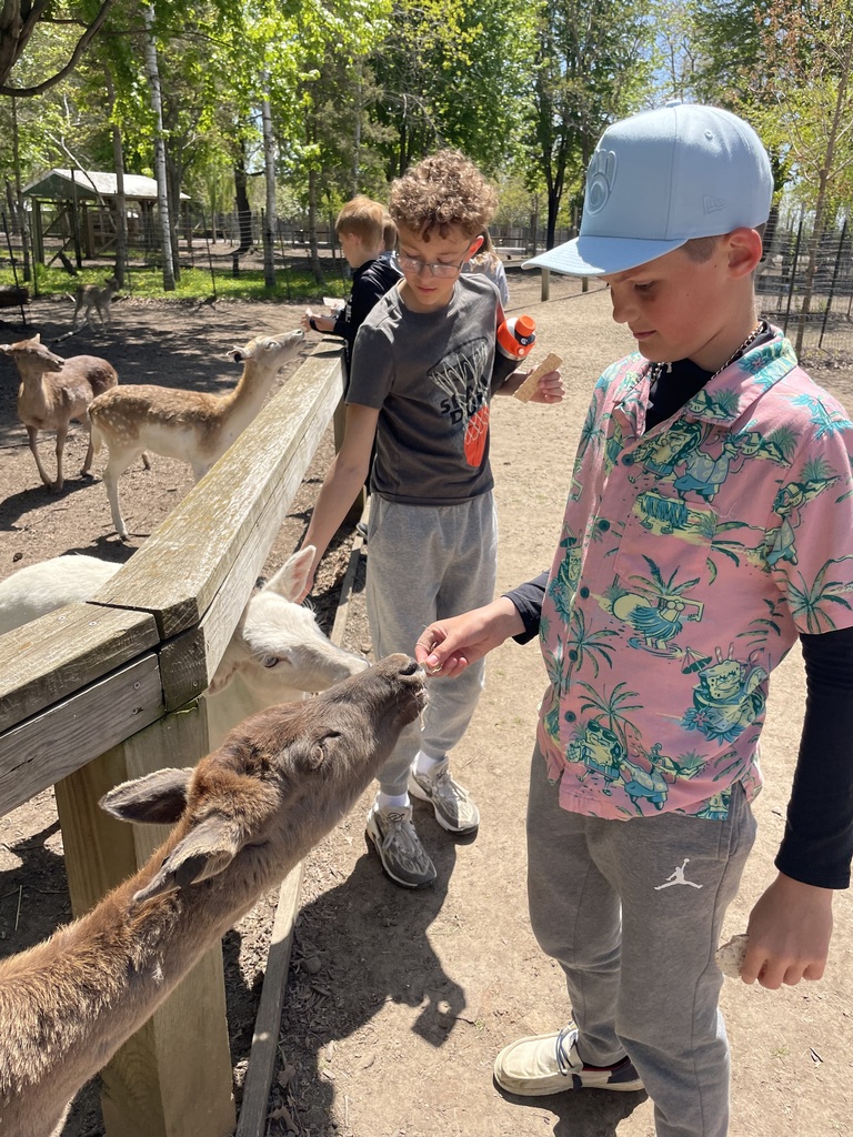 some members of safety patrol feeding deer at deer park