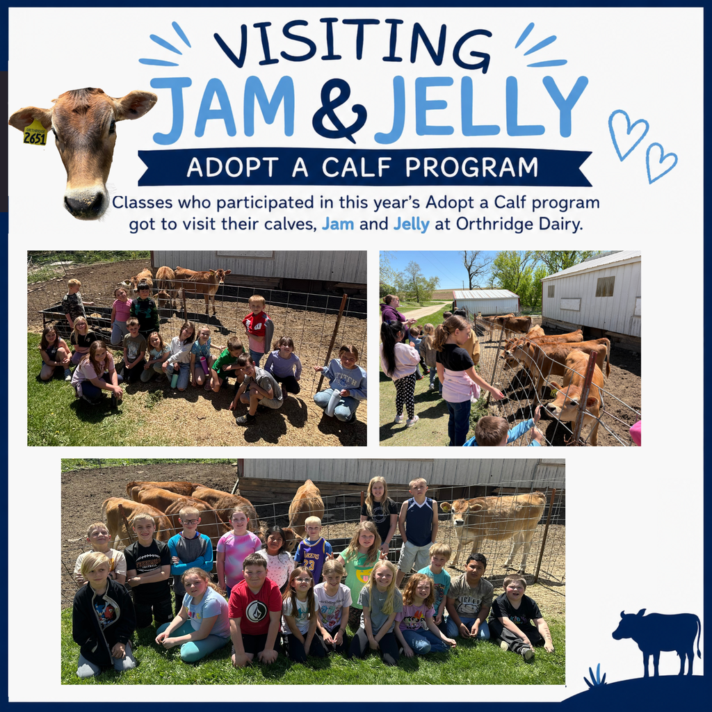 adoft a cow program students visit their 2 calves - Jam and Jelly