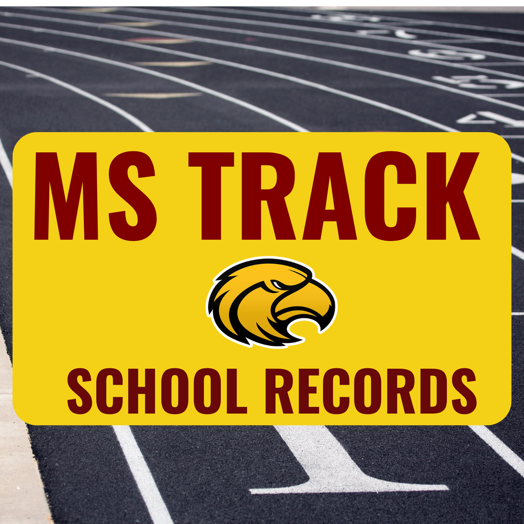 MS Track Records