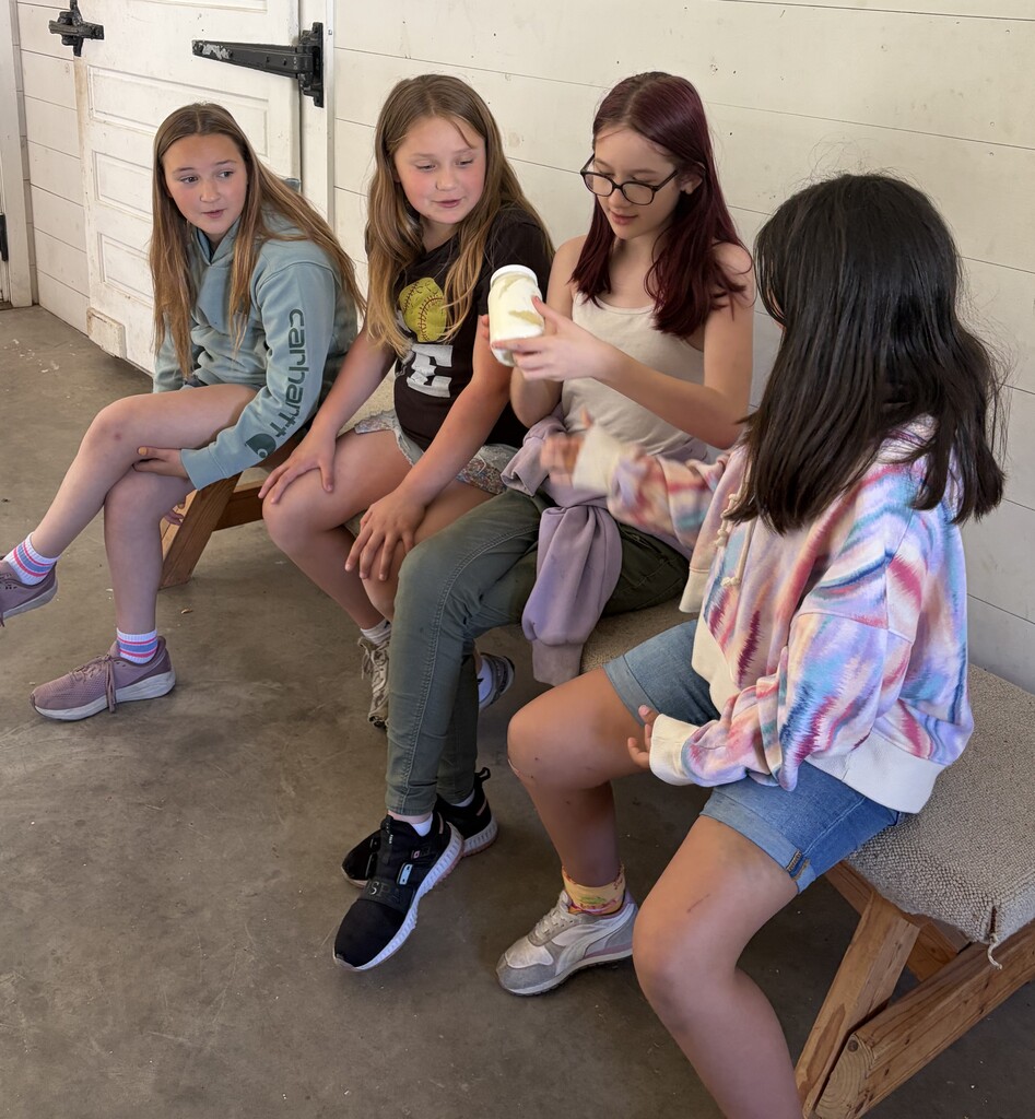 students make ice cream at stonefield