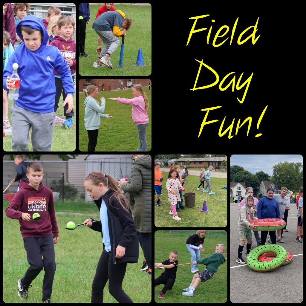 pics from different field day activities