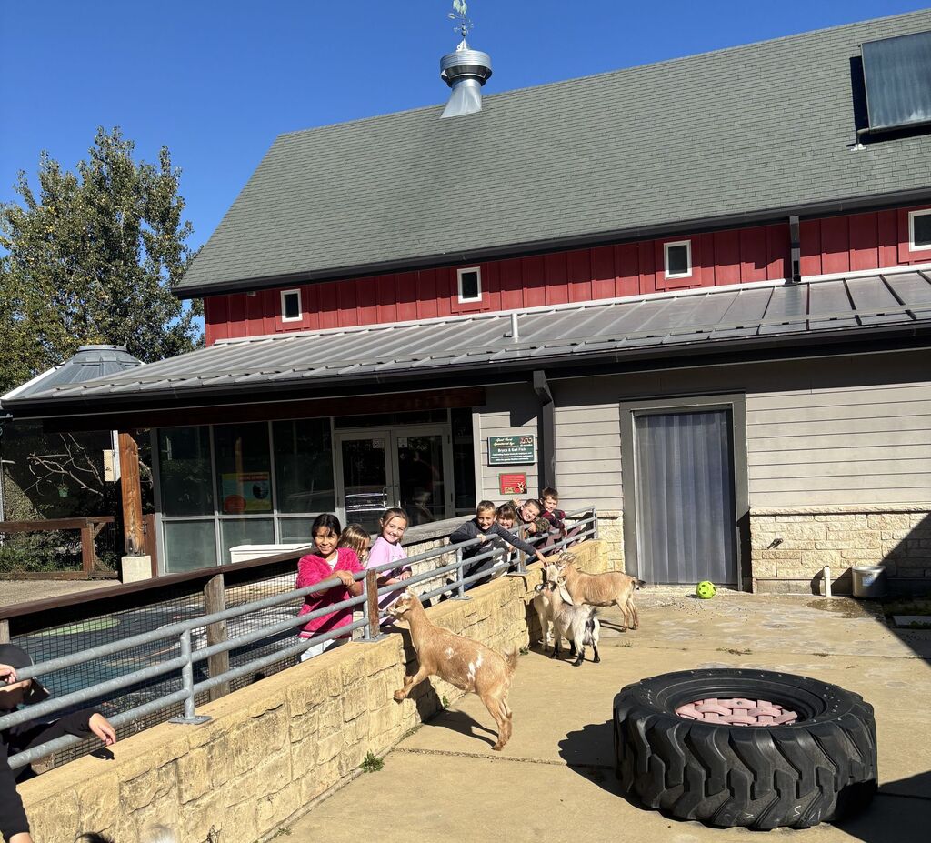 students feed animals at the zoo