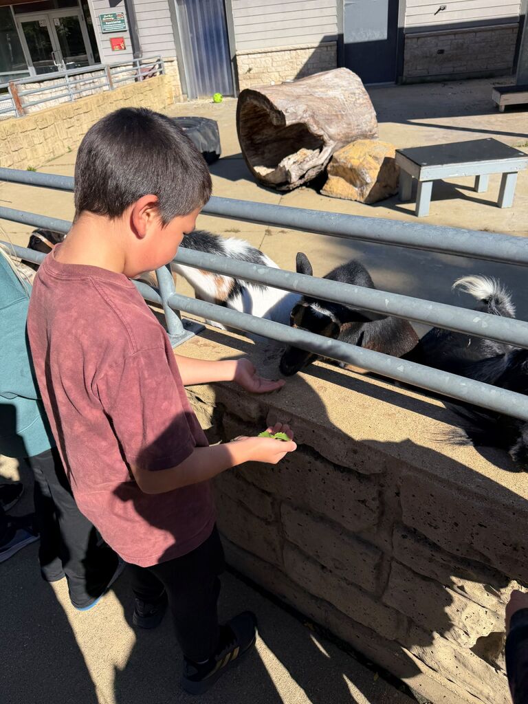 a student feeds an animal at the Henry Vilas Zoo