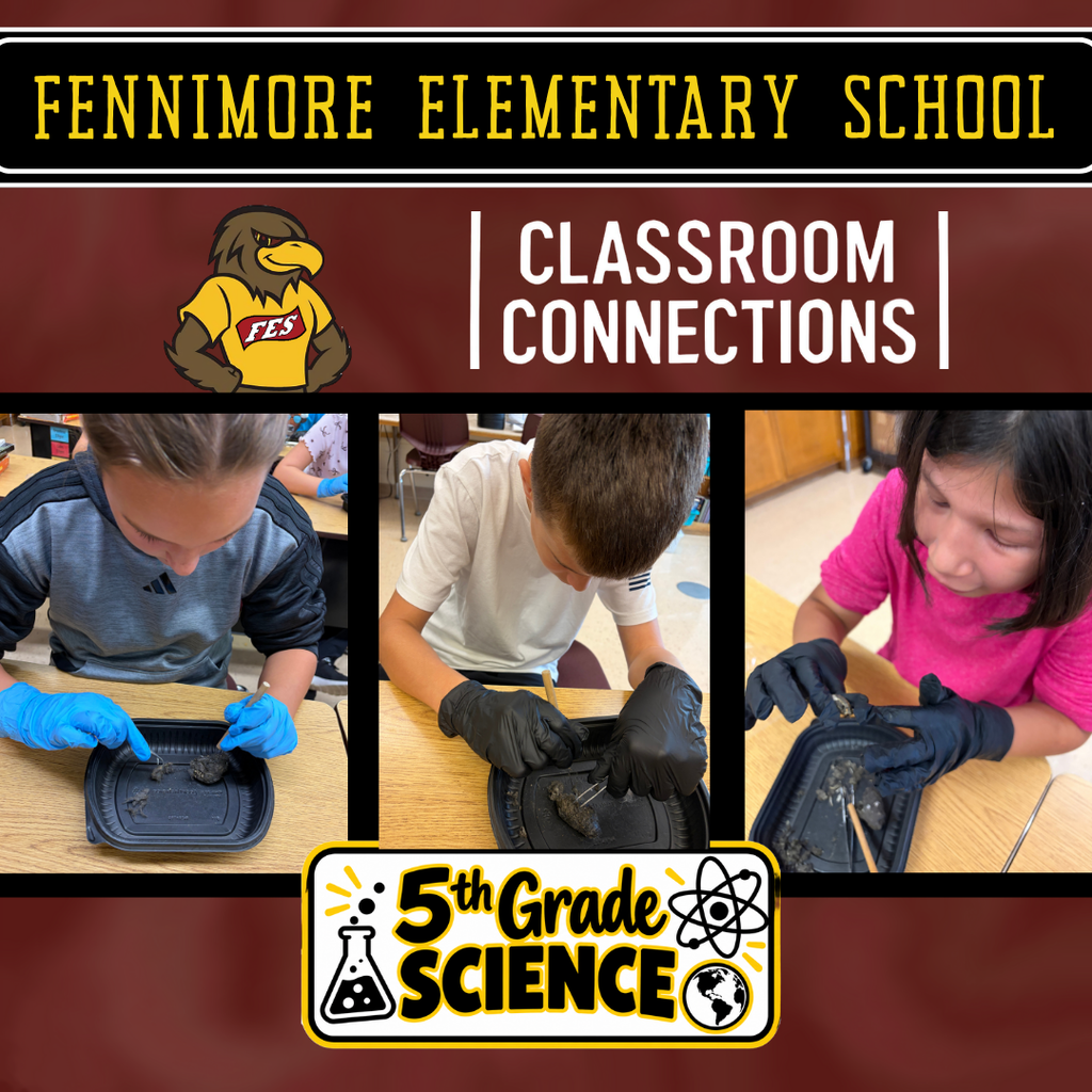 5th grade science students dissect owl pellets