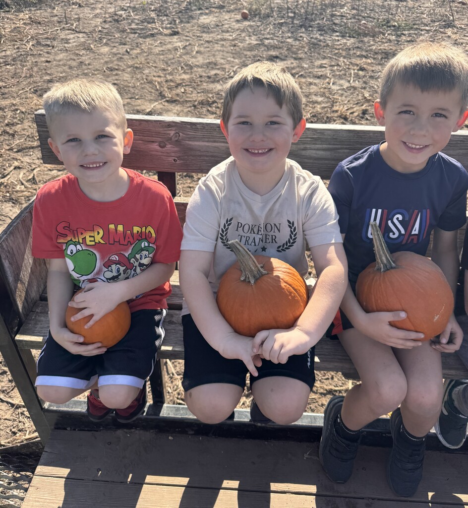 students ride in wagon holding the pumpkin they chose