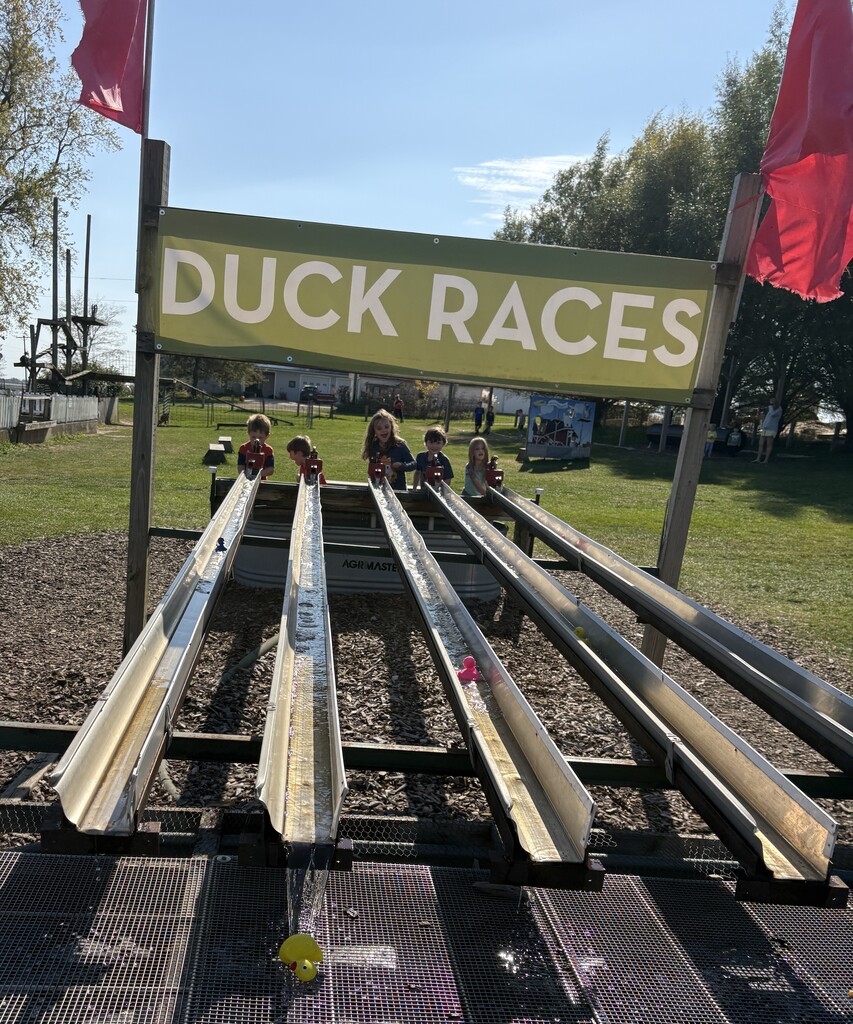 students do duck races at Vesperman farms