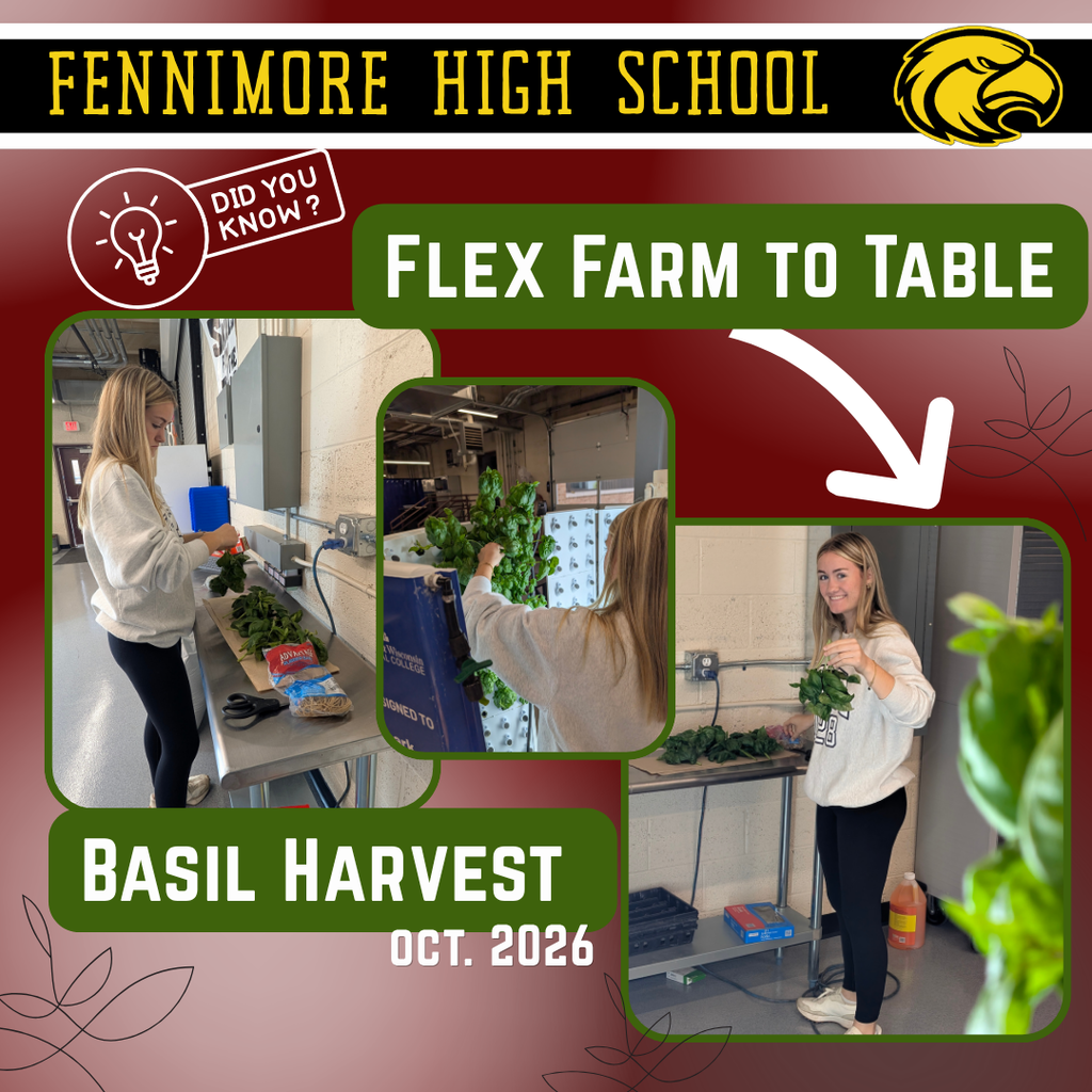 Basil Harvest 2026
