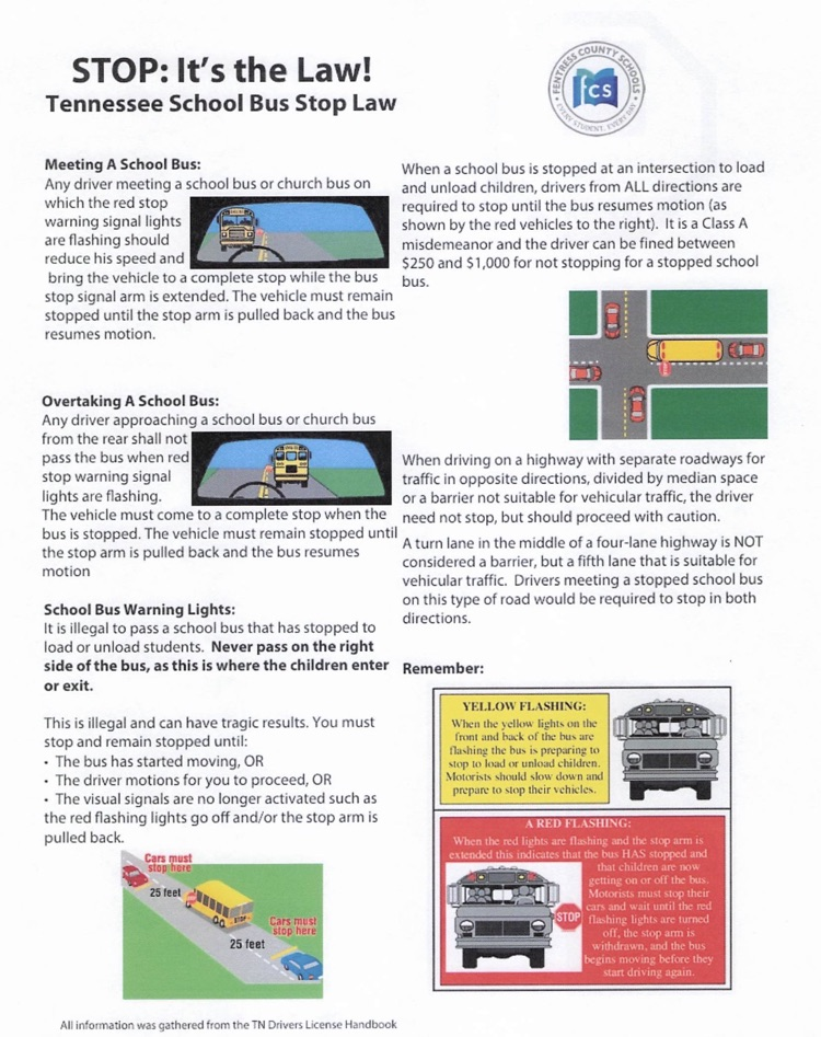 Newsletter 3