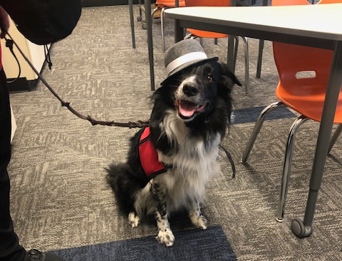 therapy dog visits TCEC