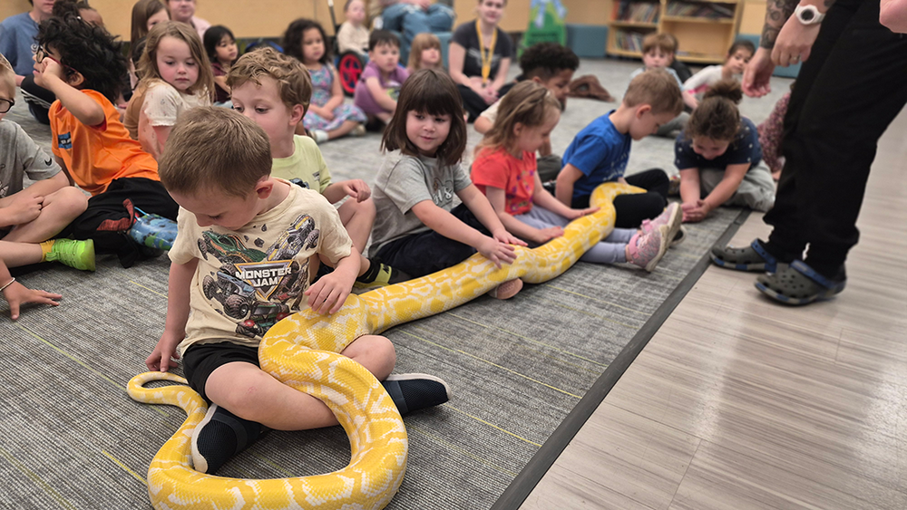 snakes in a classroom