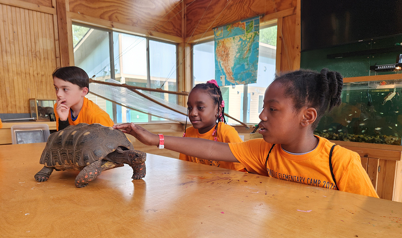 Ferndale students learn in the classroom at outdoor school