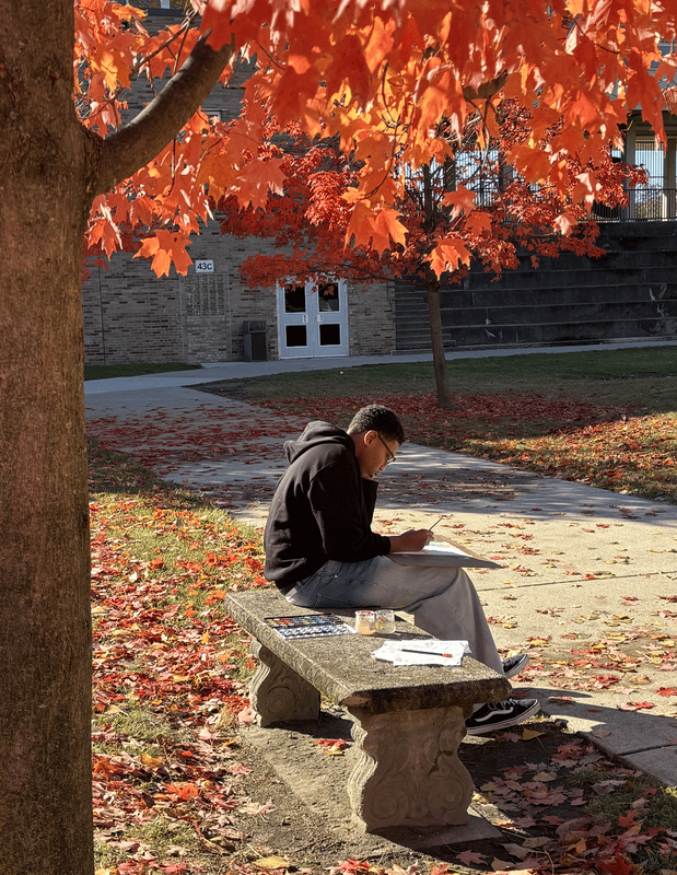 Students use watercolors to paint colorful fall leaves in the Ferndale High  School courtyard