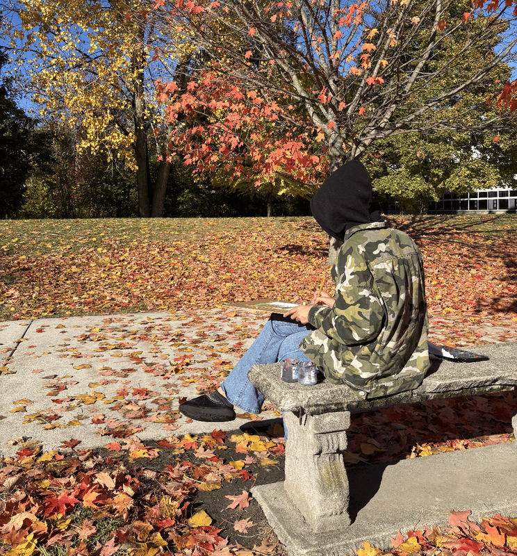 Students use watercolors to paint colorful fall leaves in the Ferndale High  School courtyard