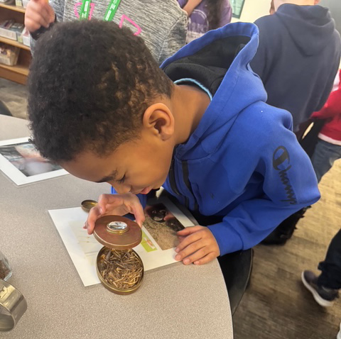 students explore artifacts
